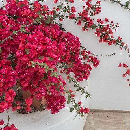 Depis Apartments & Suites Agia Anna  Dış mekan fotoğraf